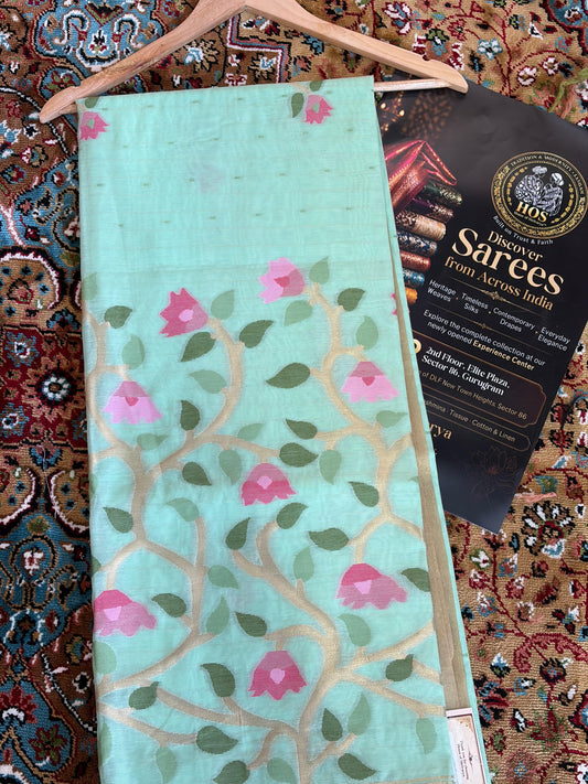 Mul Cotton Saree – Pastel Green